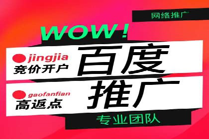 谷歌竞价广告优化技巧及某行业成功案例